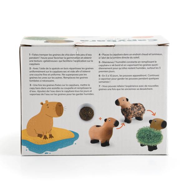 Radis et Capucine - Chia Pet - Capybara à faire pousser - PACKAGING_3D_VERSO